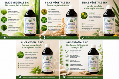 Silice Végétal  organique 100% plantes BIO DUFAYEL cheveux, confort articulaire et osseux