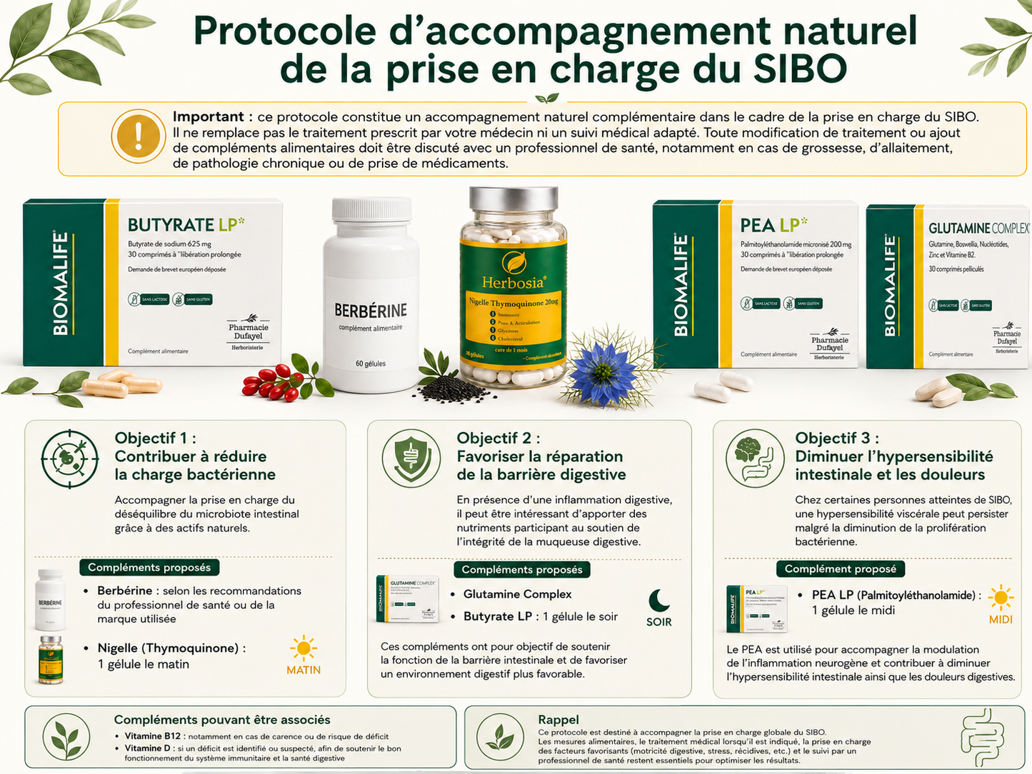 Protocole d'accompagnement naturel de la prise en charge du SIBO