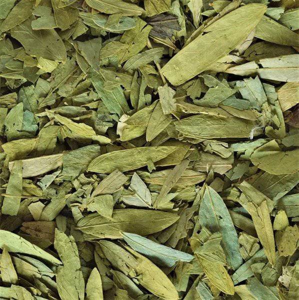 Séné Feuille Entière