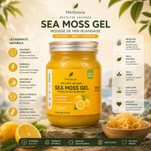 Herbosia – Gel de Sea Moss d’Irlande – Citron & Pêche