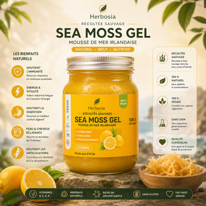Herbosia – Gel de Sea Moss d’Irlande – Citron & Pêche