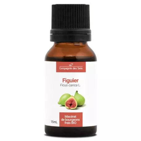 Figuier Macérât de Bourgeons Bio