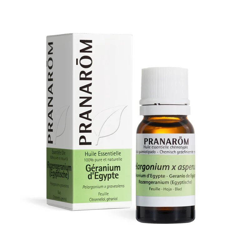 Pranarom – Huile Essentielle Géranium d'Égypte