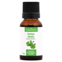 Cds – Ginkgo Biloba Macérât de Bourgeons