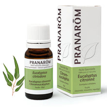 Pranarôm – Huile Eucalyptus Citronné