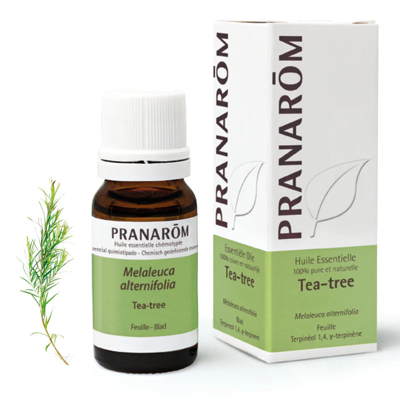 Pranarom – Huile Tea Tree