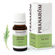 Pranarom – Huile Tea Tree