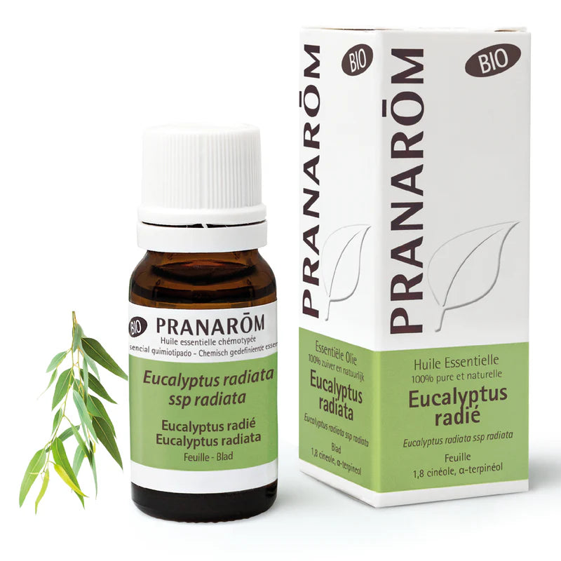 Pranarom – Huile Eucalyptus Radié