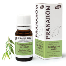 Pranarom – Huile Eucalyptus Radié