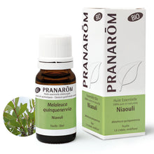 Pranarom – Huile Essentielle de Niaouli