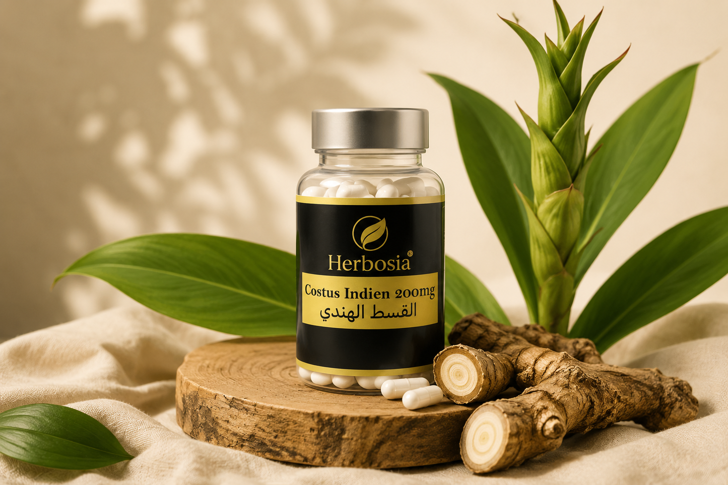 Herbosia – Costus Indien
