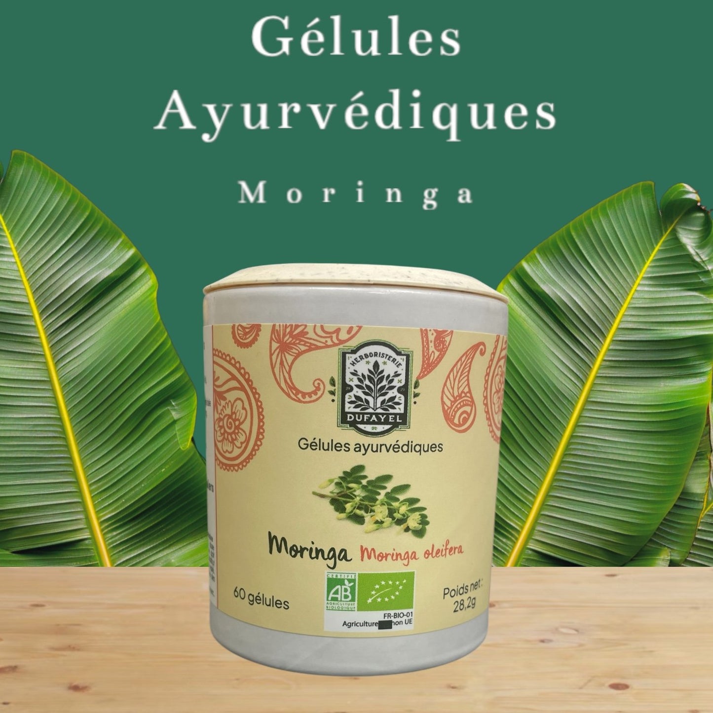 PHT – Moringa