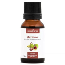 Macérât de bourgeons de Marronnier Bio