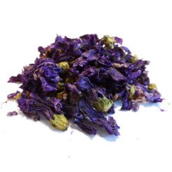 Mauve Fleur