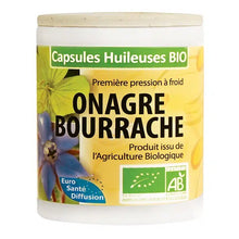 Onagre Bourrache