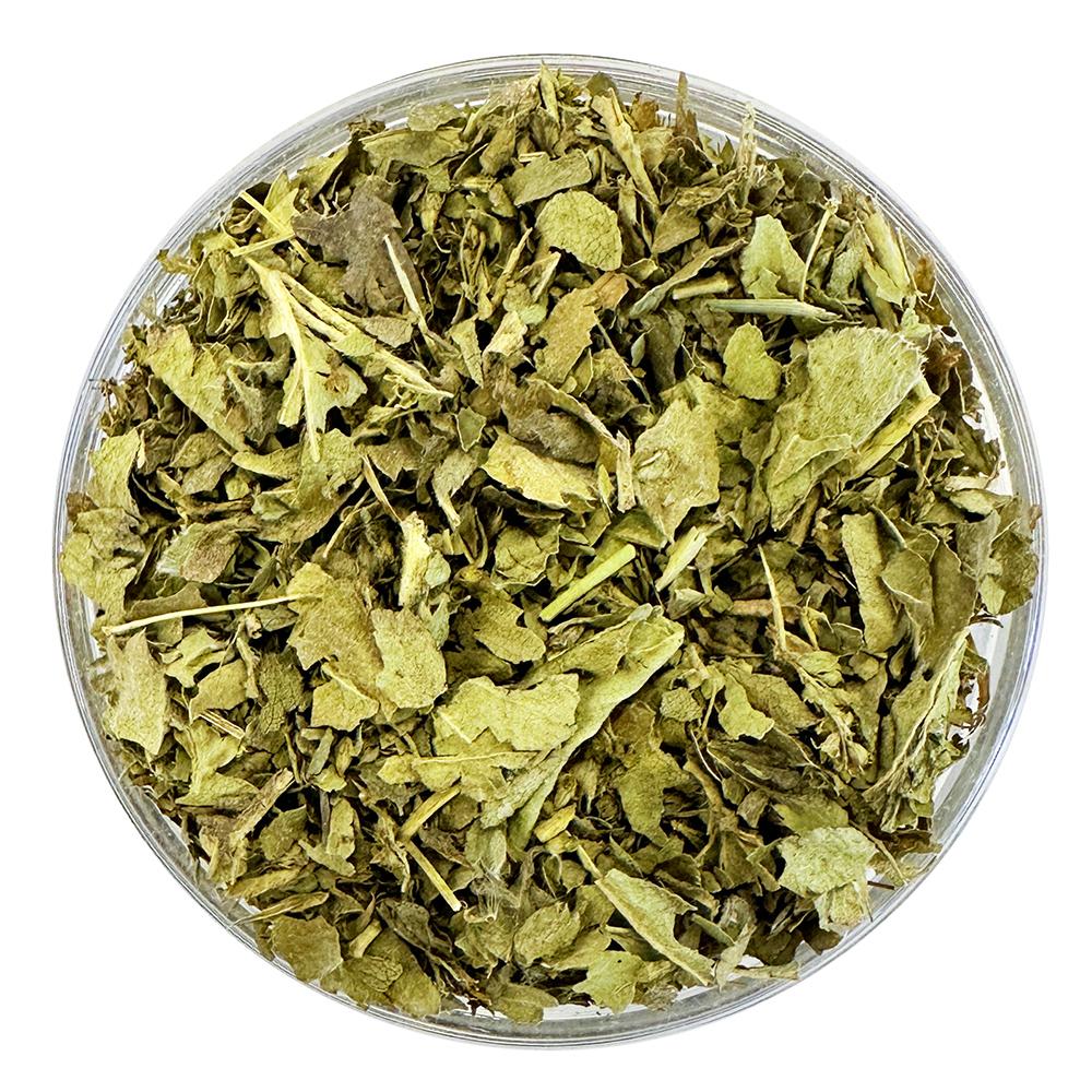 Alchémille (Alchemilla vulgaris) – plante coupées