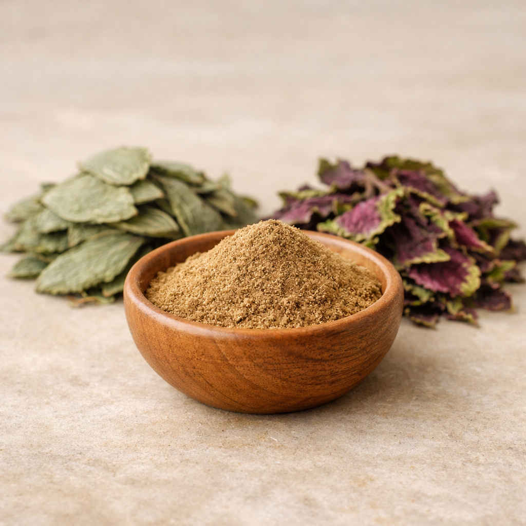 protocole Digestion des graisses & perte de poids