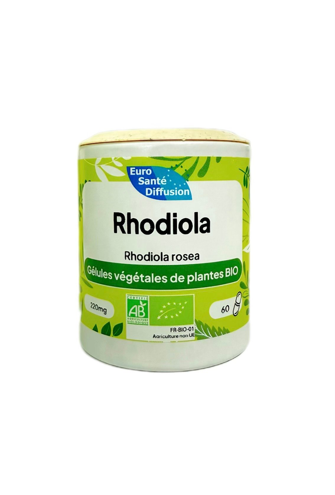 Rhodiola