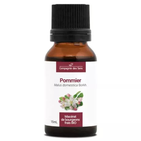 Cds – Macérat de Bourgeons de Pommier Bio