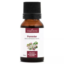Cds – Macérat de Bourgeons de Pommier Bio