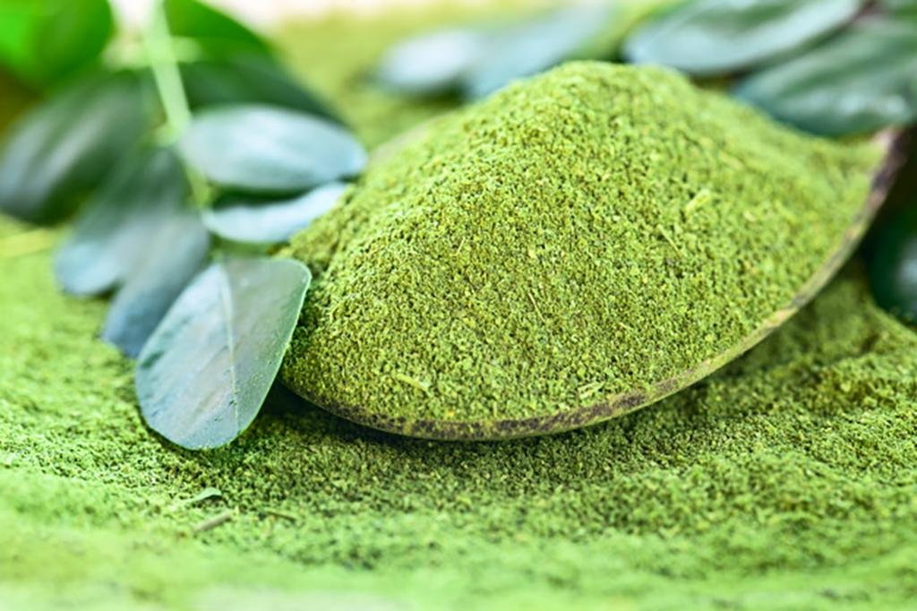 Moringa Bio en poudre