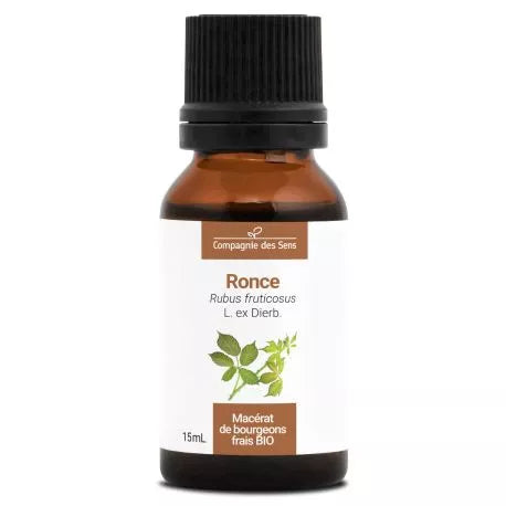 Macérât de bourgeons de Ronce Bio