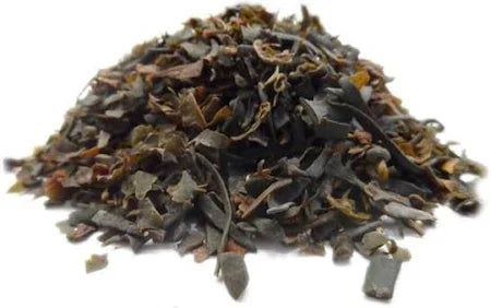 Fucus Vesiculosus