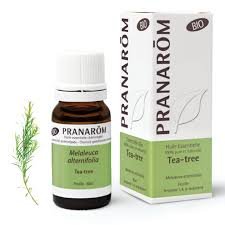 Pranarom – Huile Essentielle de Tea Tree Bio