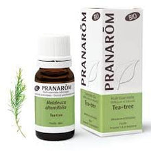 Pranarom – Huile Essentielle de Tea Tree Bio