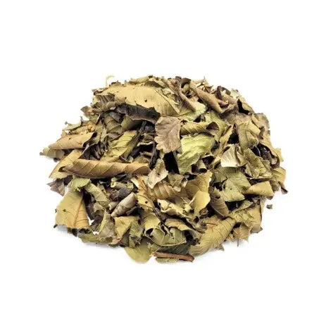 Poudre de Goyavier - Tisane et masque Ayurvédique