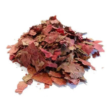 Vigne Rouge Feuille