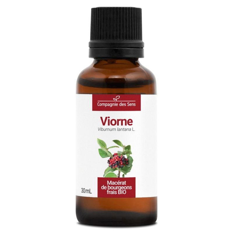 Viorne Macérat de Bourgeons Bio