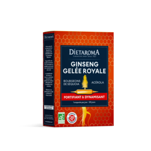 GINSENG GELEE ROYALE VITAMINE C 20AMP