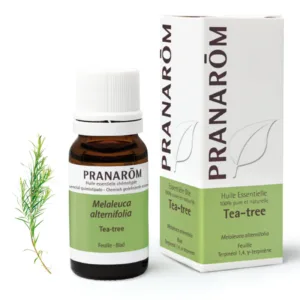 Pranarom Huile Tea Tree