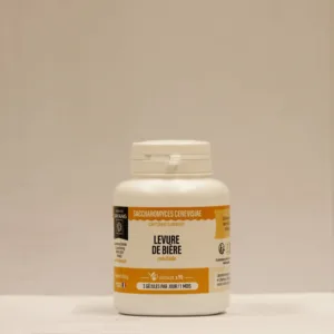 Dayang Levure De Biere Gelules Fl90
