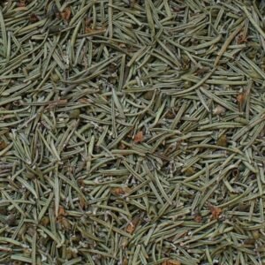 Romarin Feuille