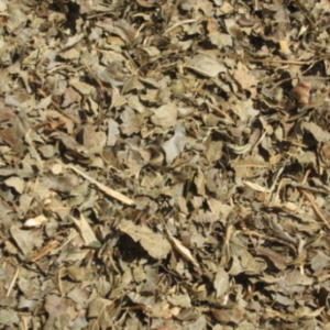 Ronce Feuille Coupee