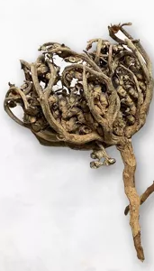 Rose De Jericho