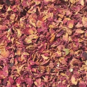 Rose Pale Petale