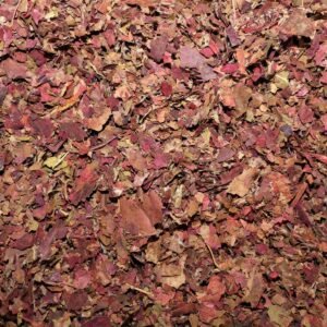 Vigne Rouge Feuille