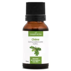 Cds Chene Macerat De Bourgeons Bio 30ml