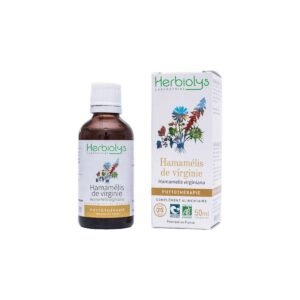 hamamelis-