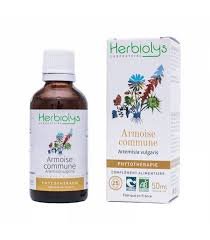 HERBIOLYS ARMOISE COMMUNE
