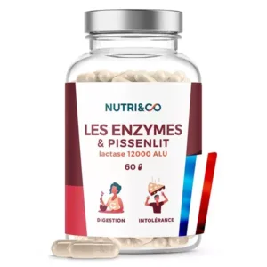 Nutri&co Enzymes Et Pissenlit 60gel
