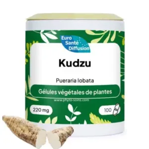 Kudzu Racine 250 gélules (phytofrance)