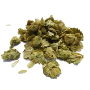 Houblon cone